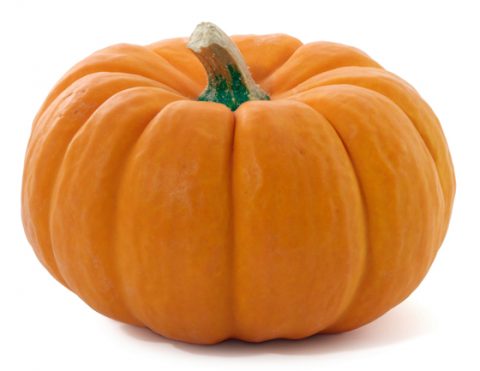 calabaza_pequen%cc%83a_hortaliza